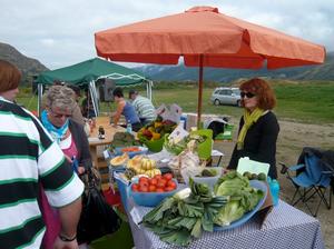 Fresh Pickings